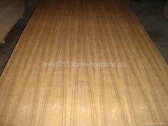 straight line teak fancy plywood