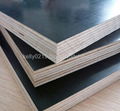 black film faced plywood