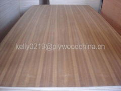 natural teak fancy plywood