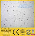 Acoustic Mineral Fiber Ceiling Tiles 1