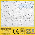 Acoustic Mineral Fiber Ceiling Tiles 2