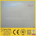 PVC Gypsum Board 2