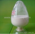 food grade chitosan