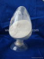 agriculture chitosan 1