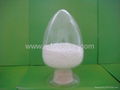 Chondroitin Sulfate bovine 90%