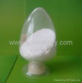 Chondroitin Sulfate bovine 90% 4