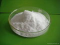 氨基葡萄糖鹽酸鹽  1