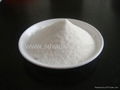 氨基葡萄糖鹽酸鹽  2