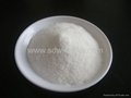 氨基葡萄糖鹽酸鹽  5