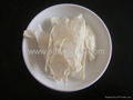 Chitosan  2