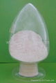 agriculture chitosan 2