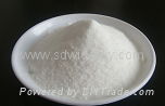 氨基葡萄糖硫酸鹽