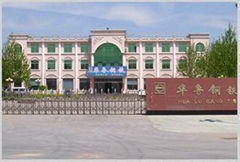 shandong hualu steel co.,ltd