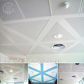 special type ceiling/decoration materials 3