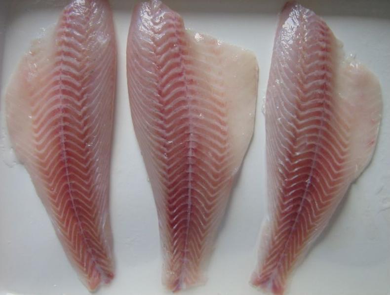 frozen seabass fillet