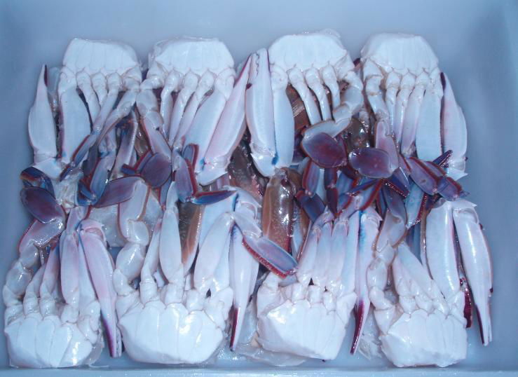 frozen cut crab