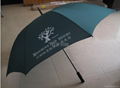 Golf umbrella 2