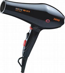 Professional Hair Dryer