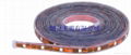 5050 led strip lighting,led strip 5050