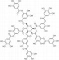 Tannic acid 1