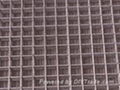 Welded wire mesh 5