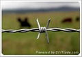 Barbed Wire 1