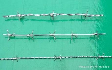 Barbed Wire 3