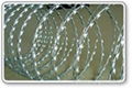 Razor Barbed Wire 1