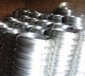 Galvanized wire 1