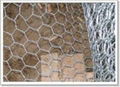 Hexagonal wire mesh