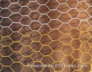 Hexagonal wire mesh 3