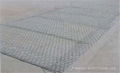 Stone wire mesh 2