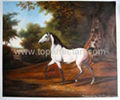 Animal oil painting,Wild010