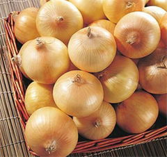 yellow onion