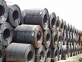 HOT ROLLED STEEL COIL 1