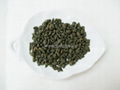 Ginsen Oolong Tea