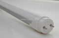 T10 LED Tube