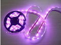 LED Strips 1