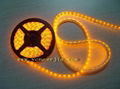 LED Strips 2