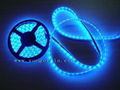 LED Strips 4