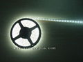 LED Strips-Warm White 2