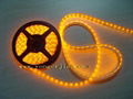 LED Strips-Warm White 1