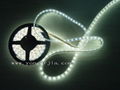 LED Strips-Warm White 4