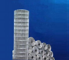 Welded Wire Mesh