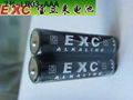 供應MP3高品質碱性品牌乾電池EXC7號乾電池