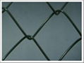 Chain Link Fence 1