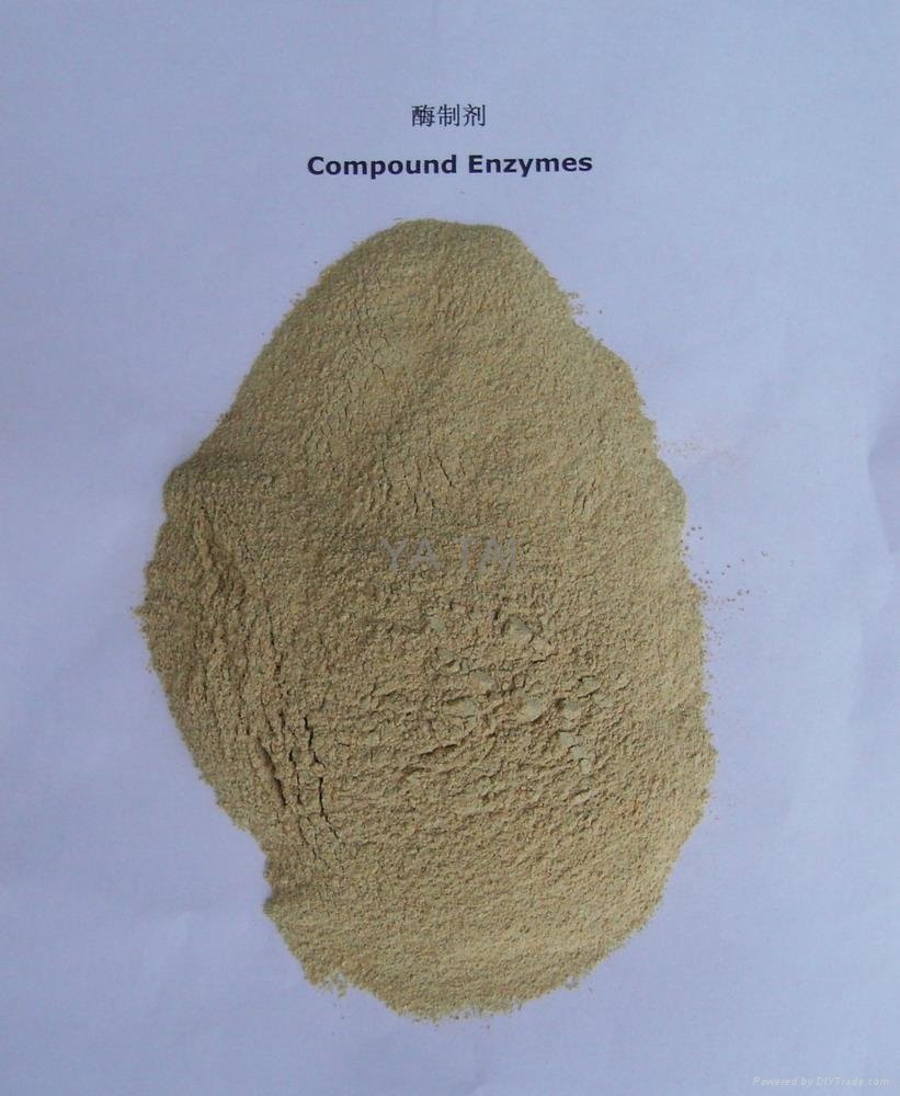 compound enzyme