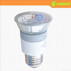 Cold Cathode Fluorescent Bulb 4W
