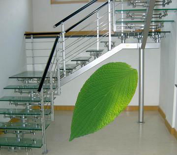 Stainless Steel Staircase Handrail 