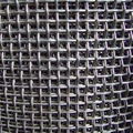 galvanized square wire mesh